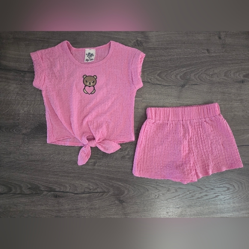 Girls Pink Bear Outfit By Lily Bleu Size 4 NWOT